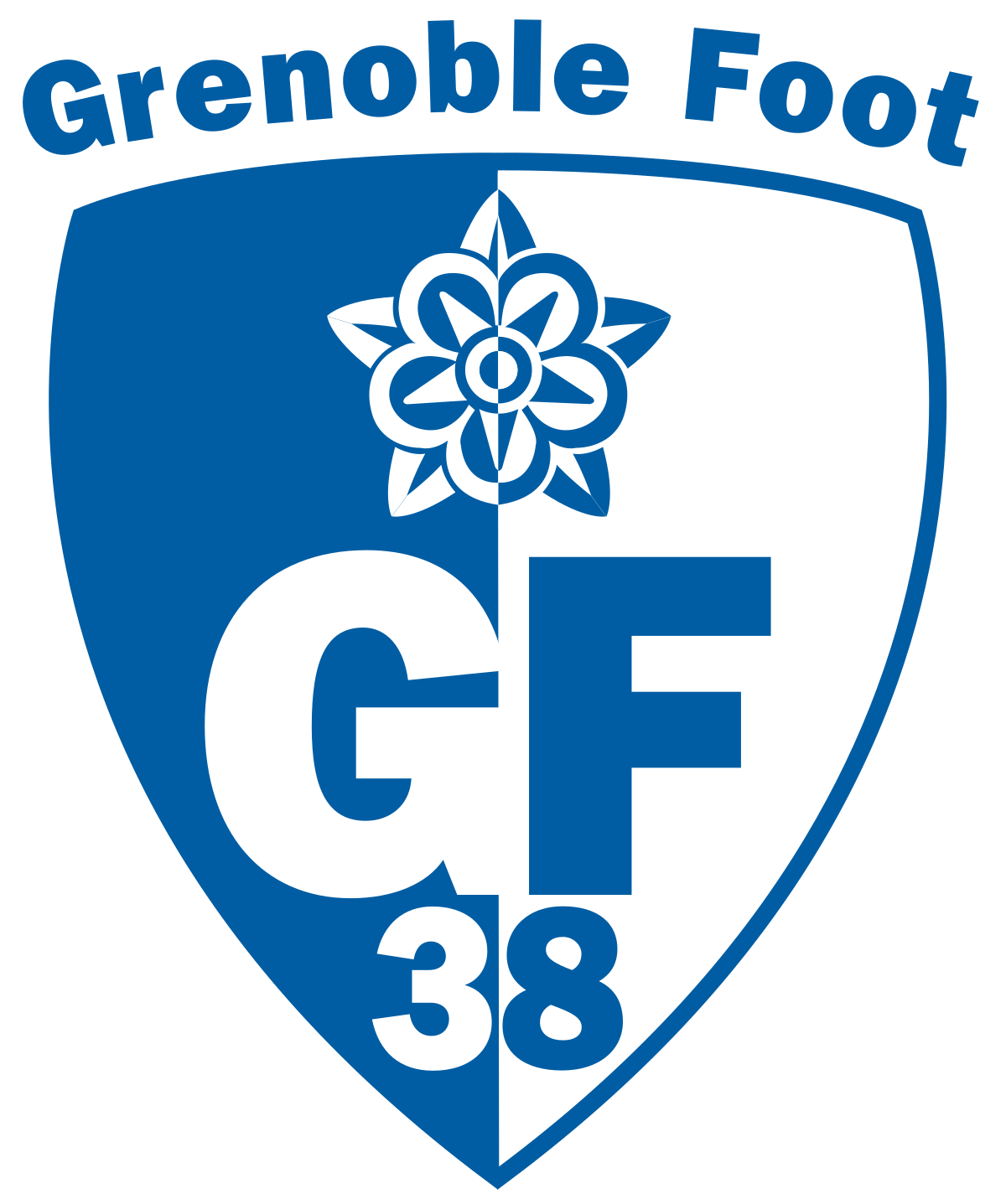 Grenoble Foot 